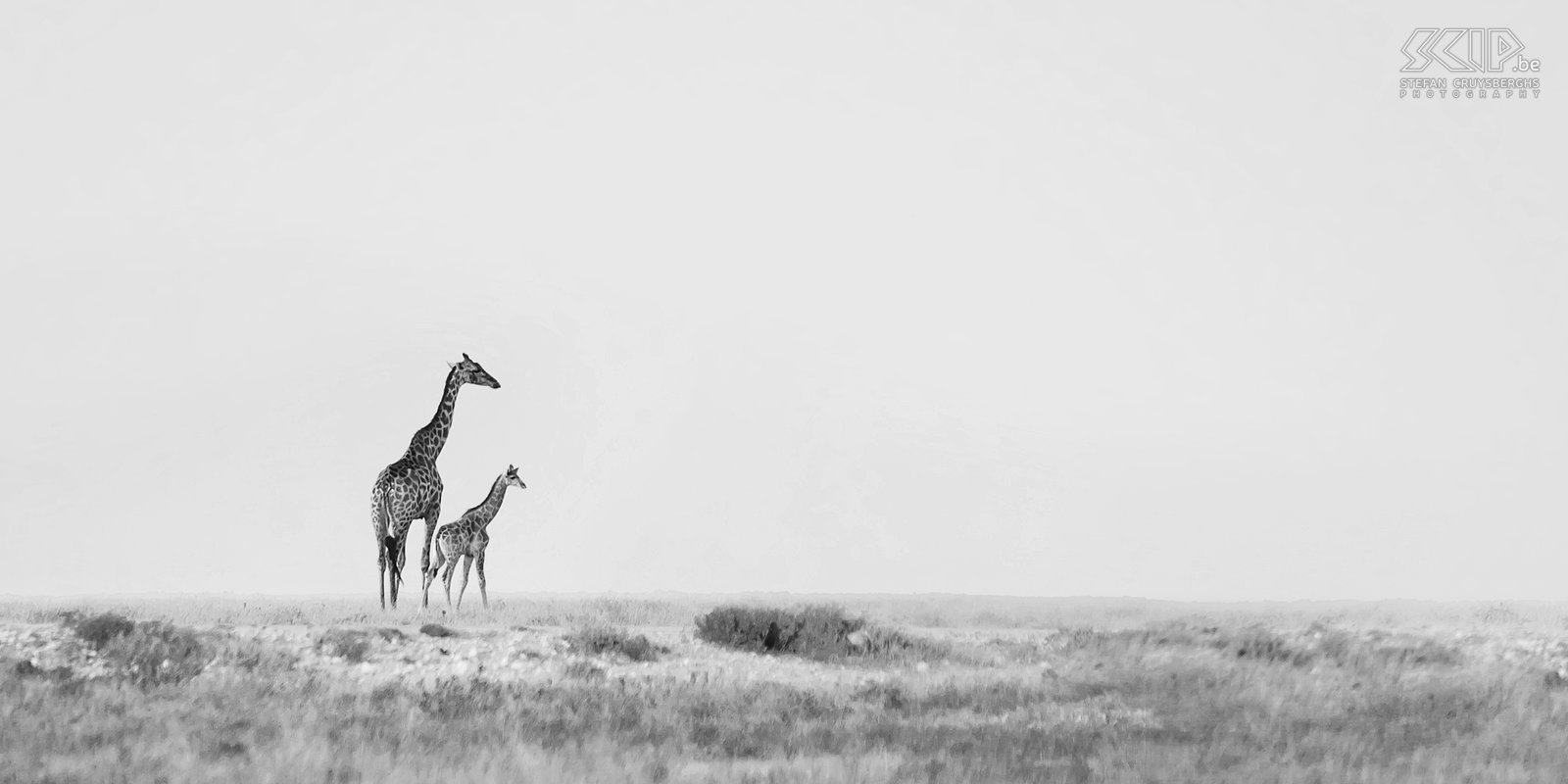 Etosha - Goas - Giraf met jong  Stefan Cruysberghs